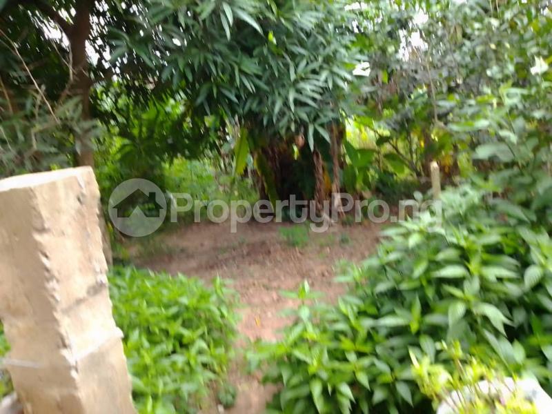 Land for sale Mayegun Luboru Community Off Ofada Road, Mowe Ofada Obafemi Owode Ogun - 0