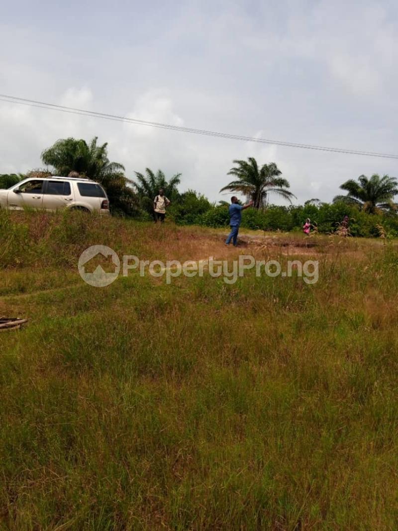 Land for sale Igbogun Ise town Ibeju-Lekki Lagos