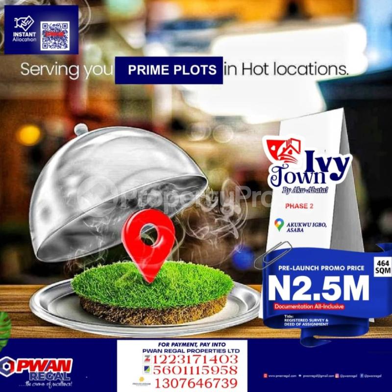 Land for sale Akukwu Igbo Asaba Delta