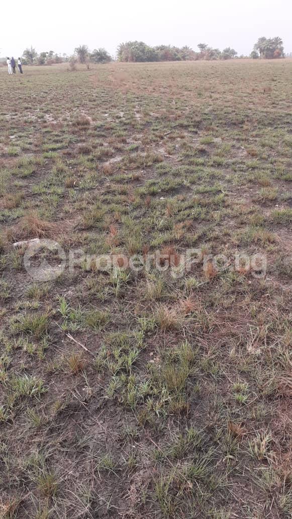 Land for sale Greenville Estate Ibeju-Lekki Lagos