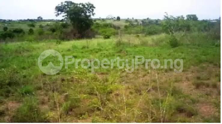 Land for sale   Free Trade Zone Ibeju-Lekki Lagos - 0