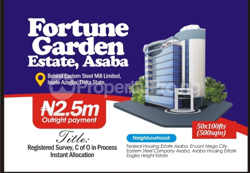 Land for sale Fortune Garden Estate Issele Azagba Asaba Delta - 0