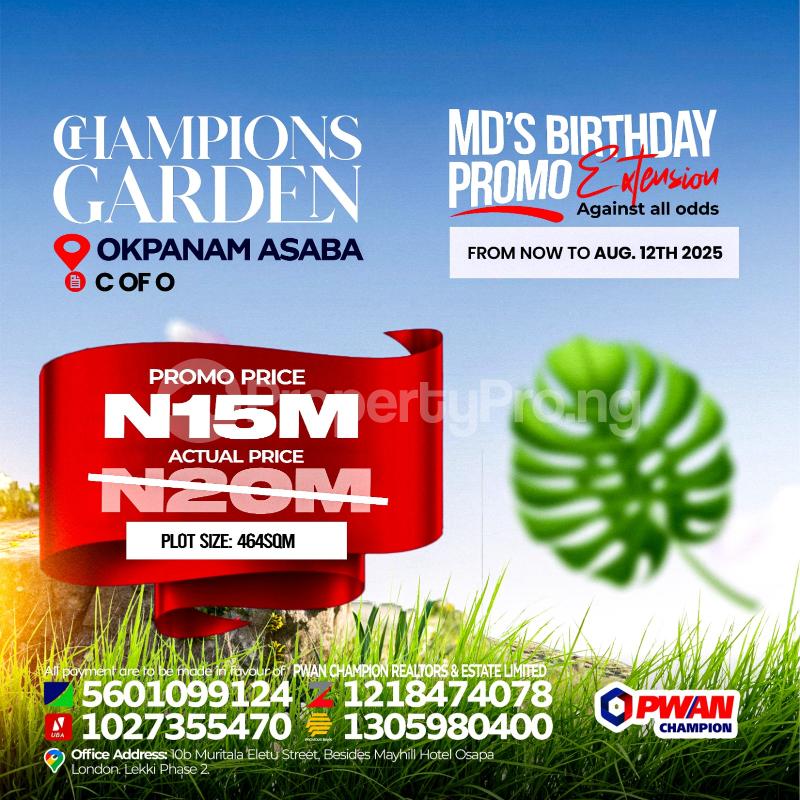 Land for sale Asaba International Airport Okpanam City Gate Wichtech Industries Okpanam Asaba Delta - 0