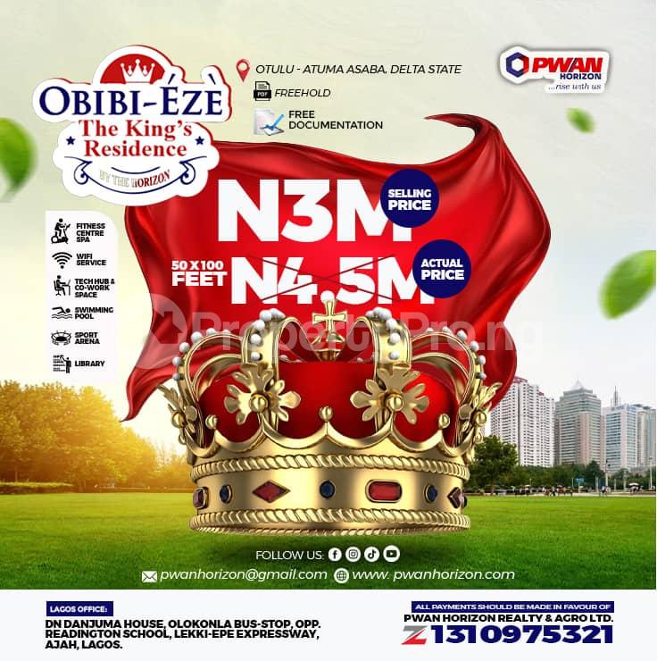 Land for sale Asaba Airport, Witchtech Gerrard Company, Ogwashi Ukwu Polytechnic, Oshimili North Lga, Norsworthy Farms & Agro, Delta State Govt. House. Asaba Delta