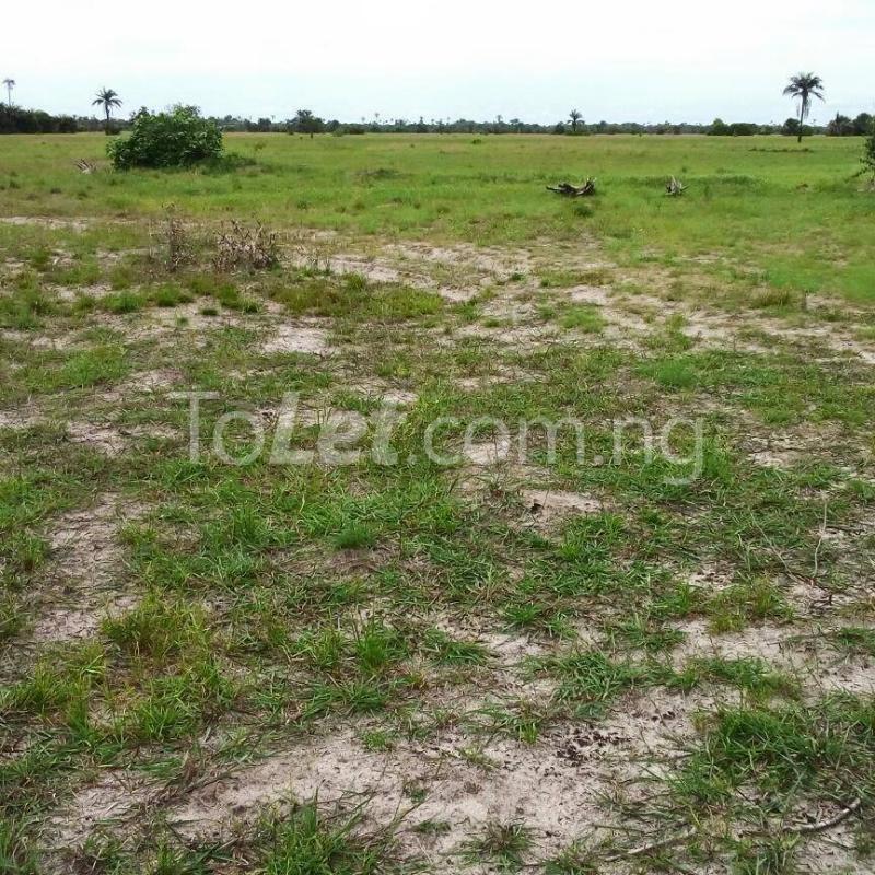 Land for sale Agbede Area, Agric Ikorodu, Ikorodu Lagos