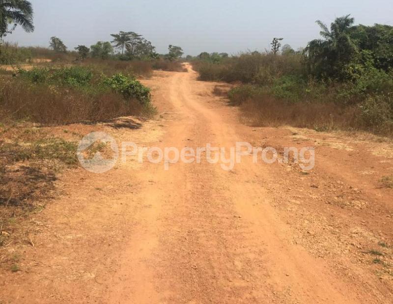 Land for sale Raymond Gate Eleranigbe Ibeju-Lekki Lagos - 0