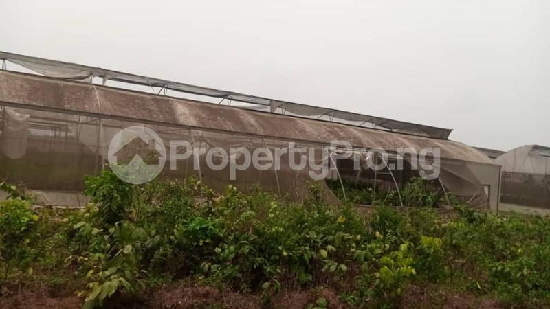 Land for sale Farm City Epe Epe Lagos
