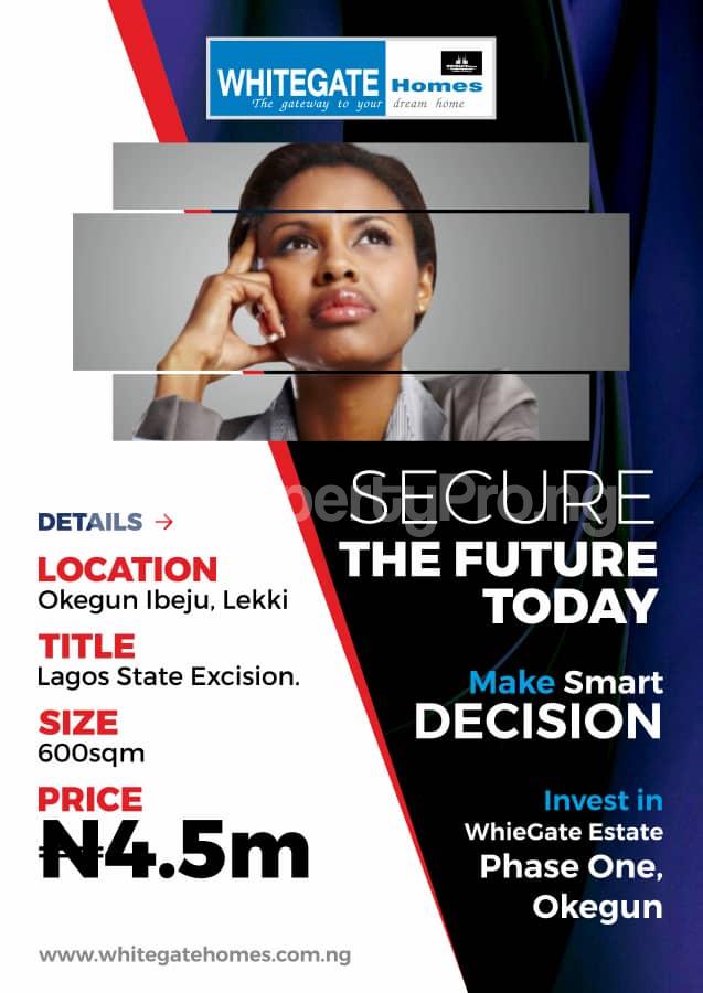 Land for sale Okegun.along Leki Epe Express Road After Eleko Junction Ibeju-Lekki Lagos