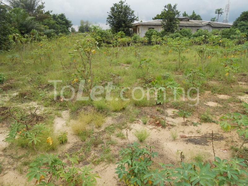 Land for sale Ibeju Ibeju-Lekki Lagos - 1