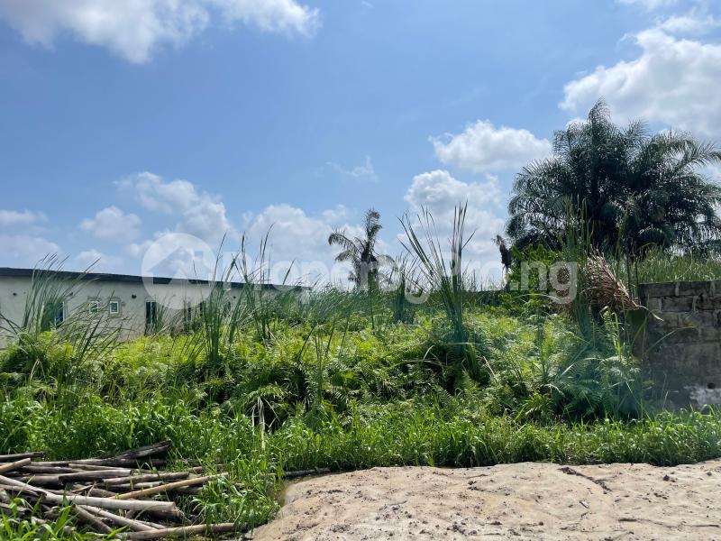 Land for sale Sunshine Estate, Ajah, Sangotedo Monastery road Sangotedo Lagos