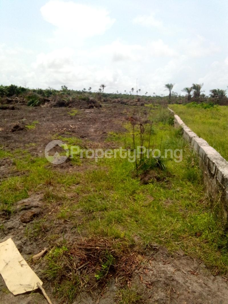 Land for sale Free Trade Zone Ibeju-Lekki Lagos - 0