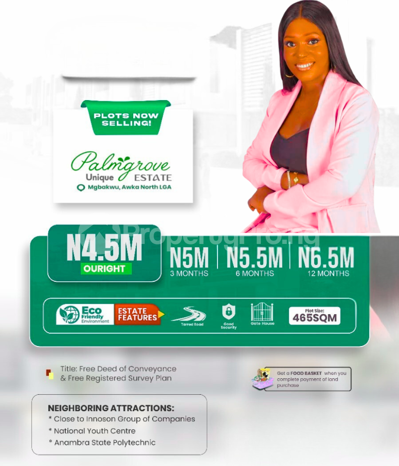 Land for sale Mgbakwu, Awka North/ Palm Groove Unique Estate / 3min To Innoson Group Companies Awka North Anambra