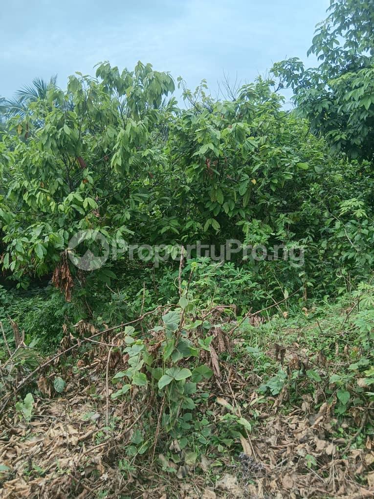 Land for sale Anua Near The Ring Road Uyo Akwa Ibom