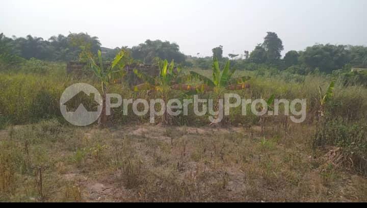Land for sale Beside Unity Estate Unity estate Ojodu Lagos