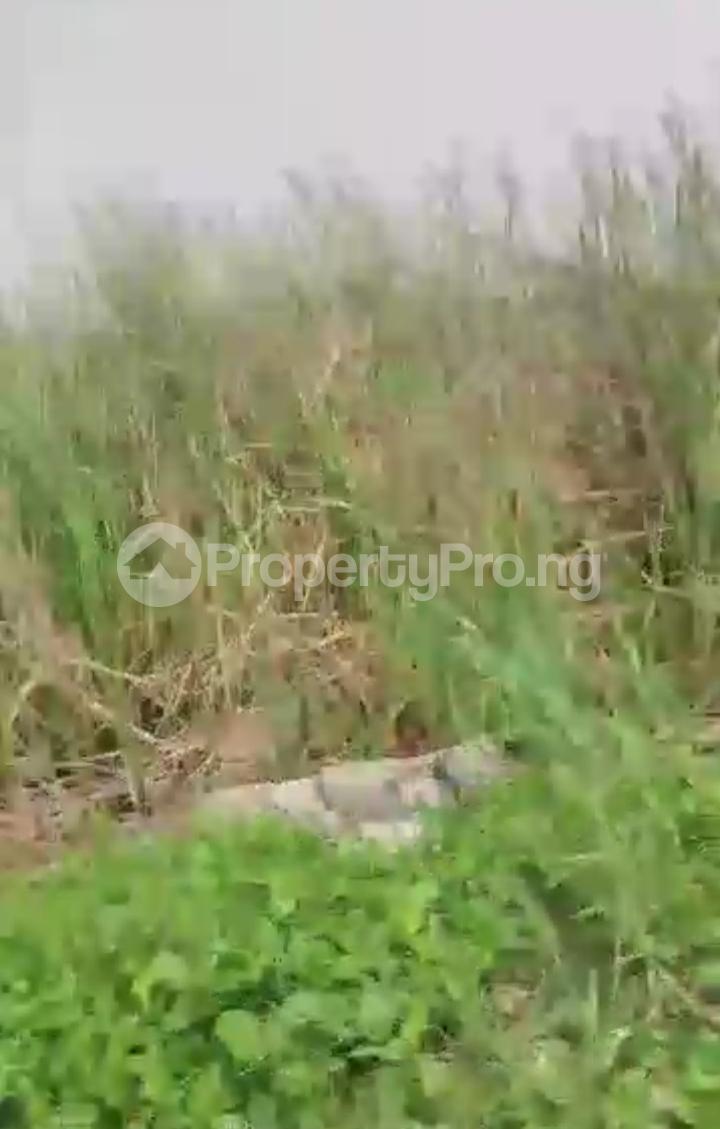 Land for sale Opposite Crown Estate, Sangotedo Ajah Lagos