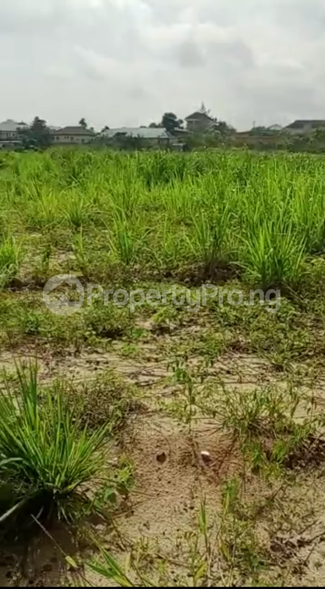 Buy Land Measuring 1,747 Sqmts With Fence And Gate in Parkview Estate