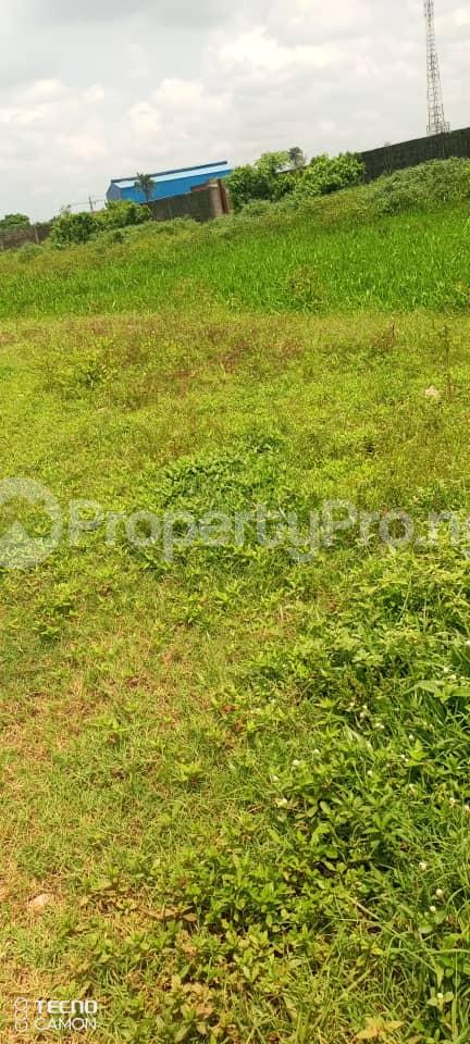 Land for sale Commercial Scheme, Oshodi Apapa Expressway Amuwo Odofin Lagos - 0
