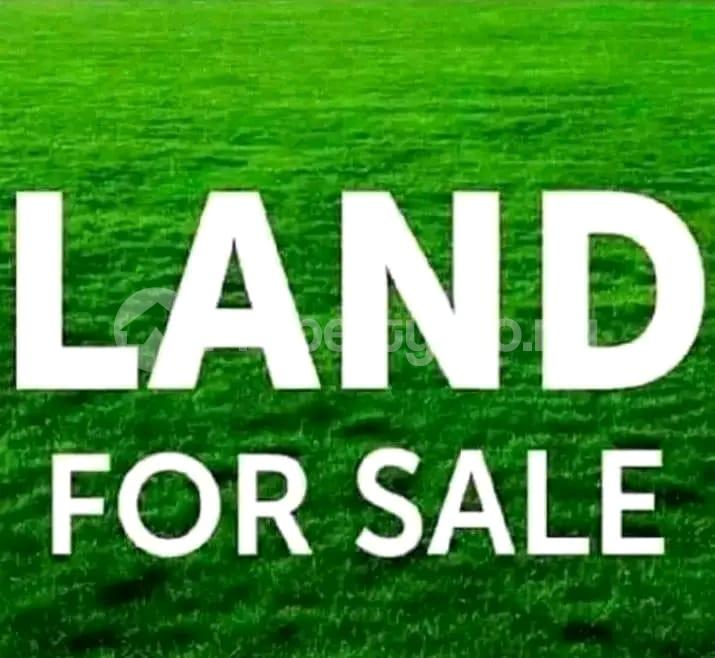 Land for sale James George Street Alagbon Ikoyi Lagos - 0