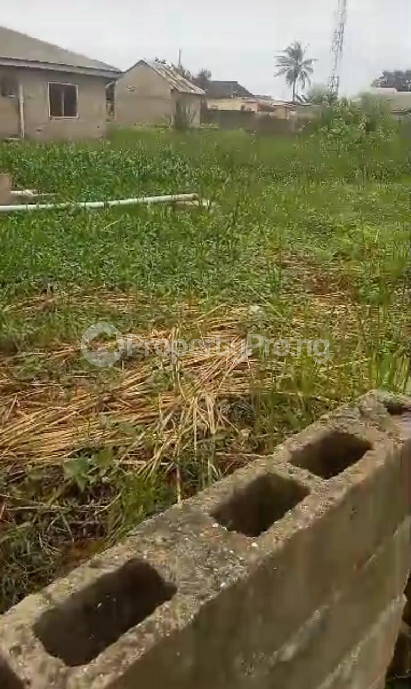 Land for sale Ire Akari Isolo Lagos