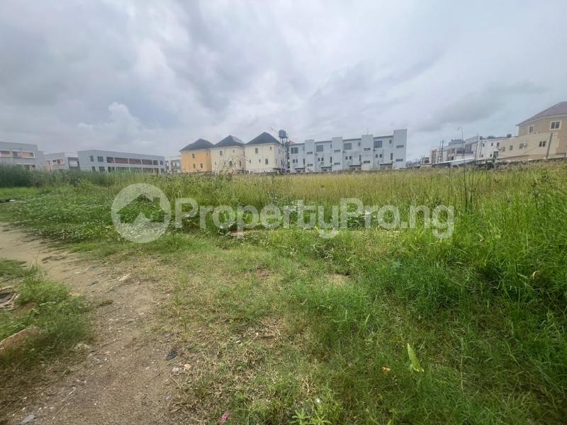 Land for rent Elegushi, Ikate Lekki Lagos