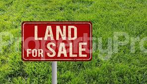 Land for sale Northern Foreshore Estate Chevron Lekki Lagos - 0