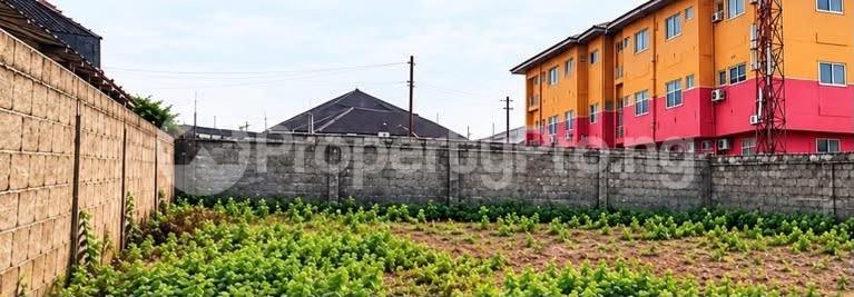 Land for rent Funsho Williams Avenue Iponri Surulere Lagos