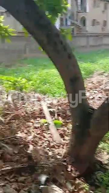 Land for sale Puposola Road New oko oba Abule Egba Lagos