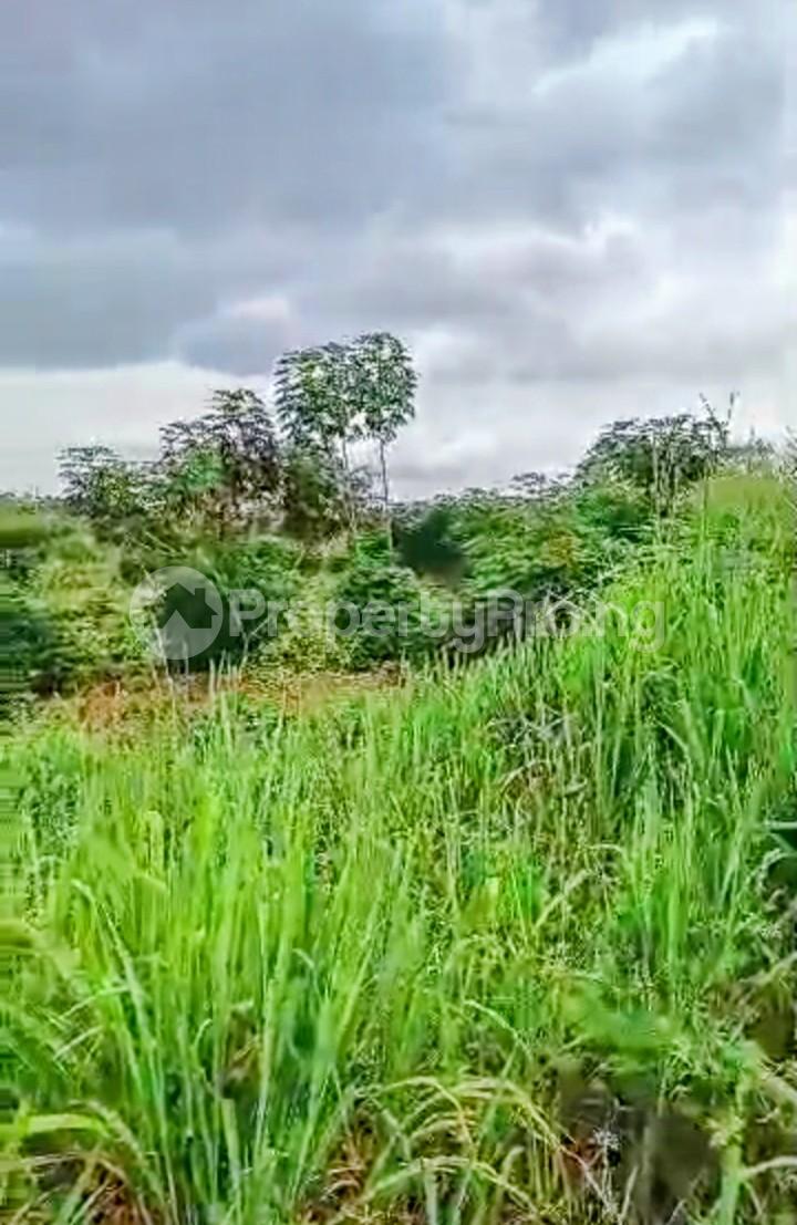 Land for sale Maya Parafa Expressway Maya Ikorodu Lagos