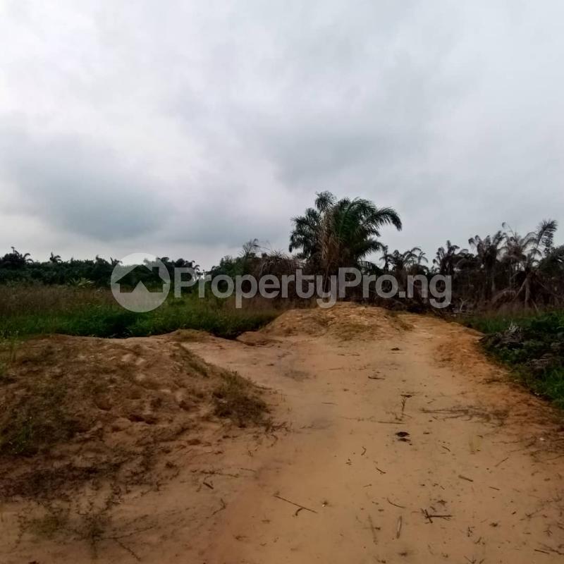 Land for sale Pan African Eleko Ibeju-Lekki Lagos