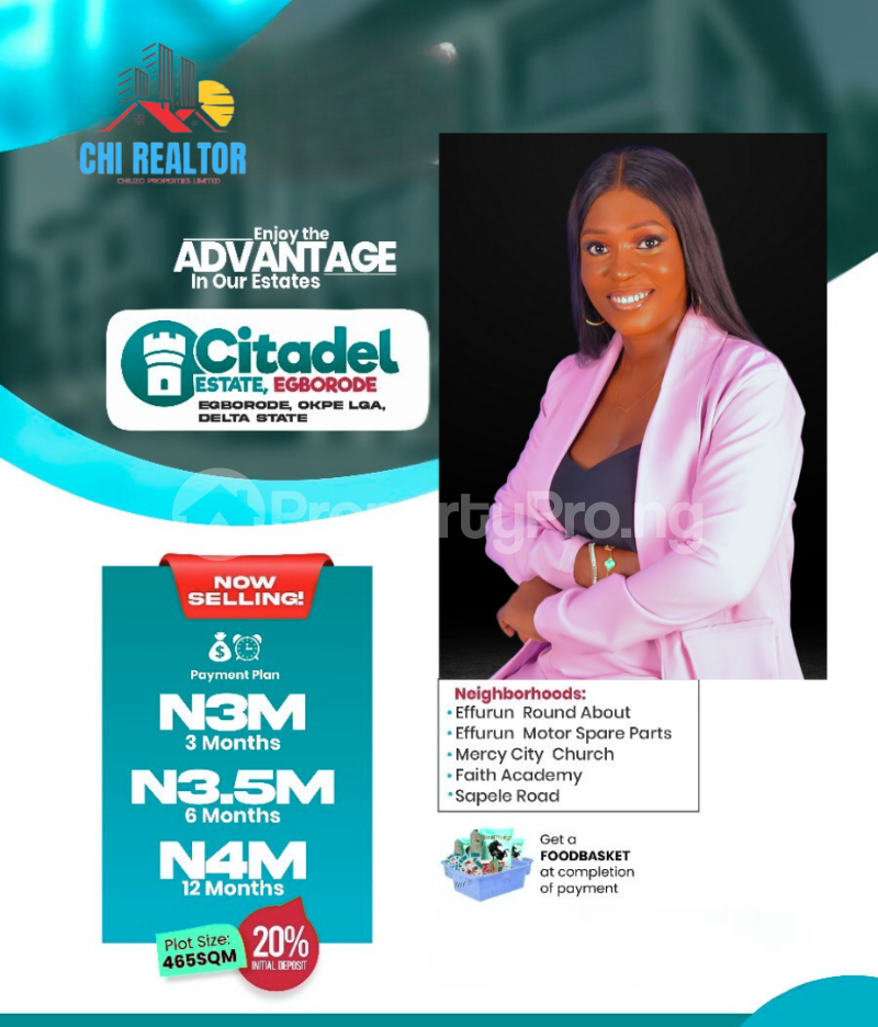 Land for sale Egborode Okpe Lga /citadel Estate/ Sapele Road Okpe Delta - 0
