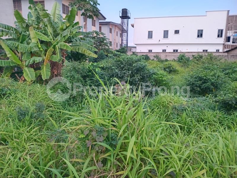 Land for sale Williams Estate Akowonjo Alimosho Lagos