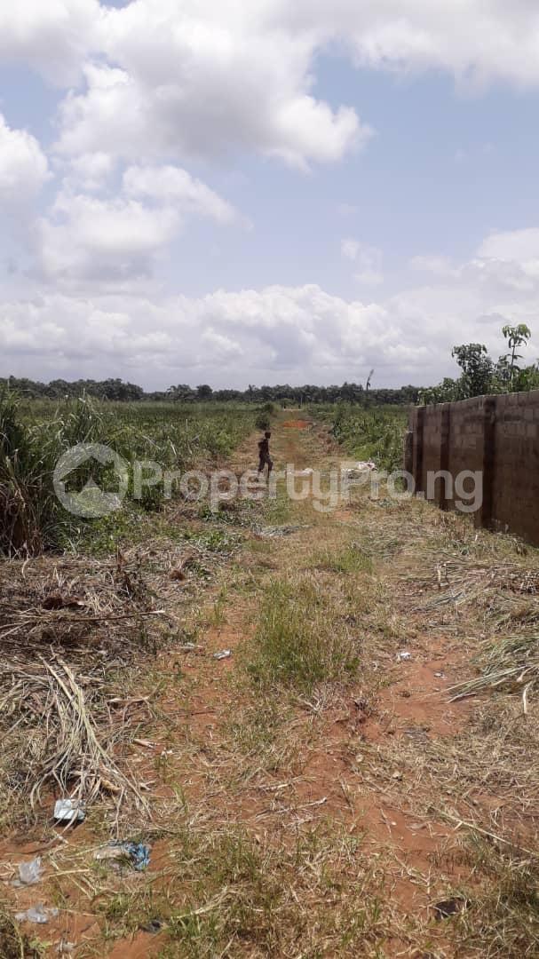 Land for sale Araromi Tope, Elerangbe Eleranigbe Ibeju-Lekki Lagos - 1