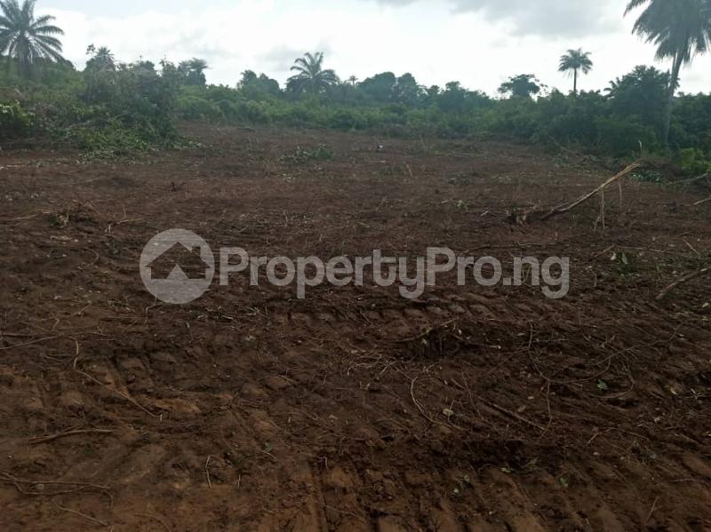 Land for sale Camber Wall Court Phase 2 Abijo Ajah Lagos