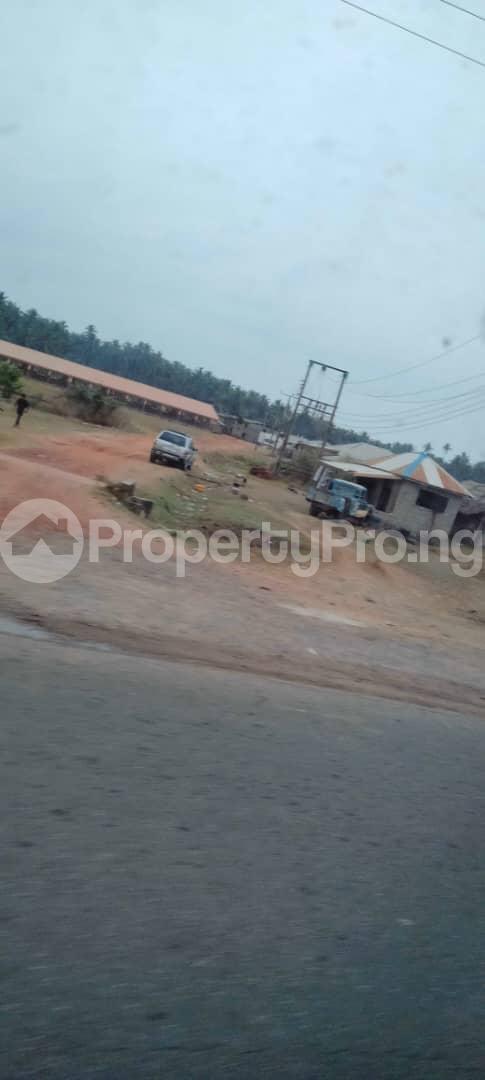 Land for sale Fortune Garden Estate Issele Azagba Asaba,otulu Road Benin Express Way Asaba Delta