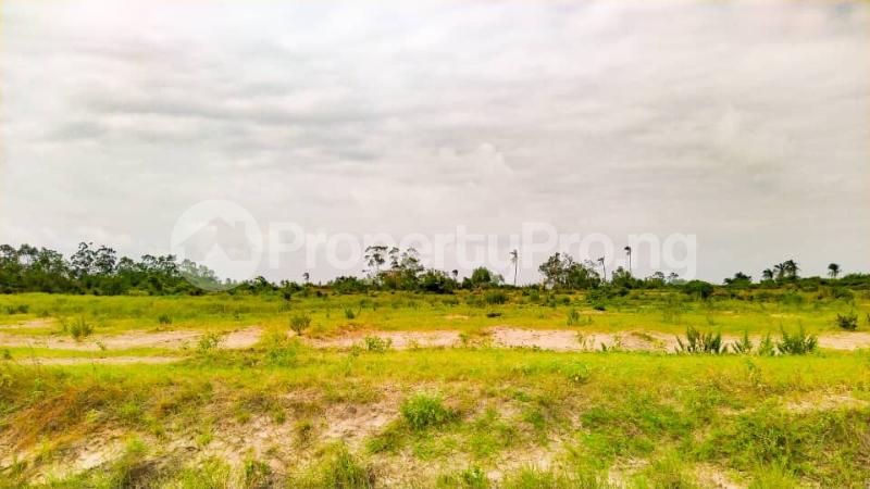Land for sale Diamond Estate Free Trade Zone Ibeju-Lekki Lagos