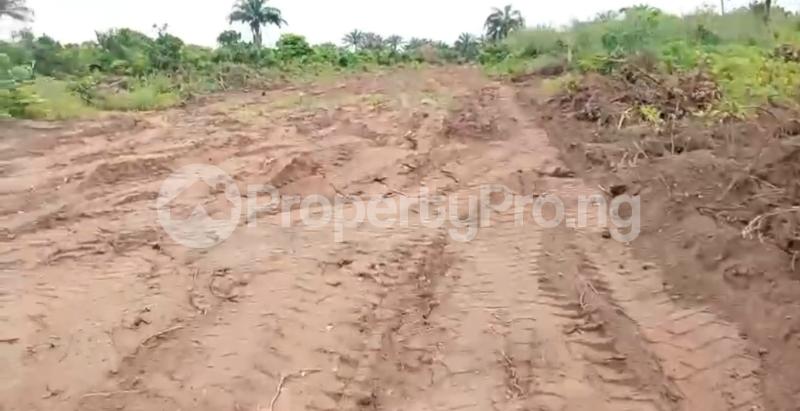 Land for sale Umuokanne/oforola/ Rosewood Supreme Estate/ 15min To Futo Owerri Imo