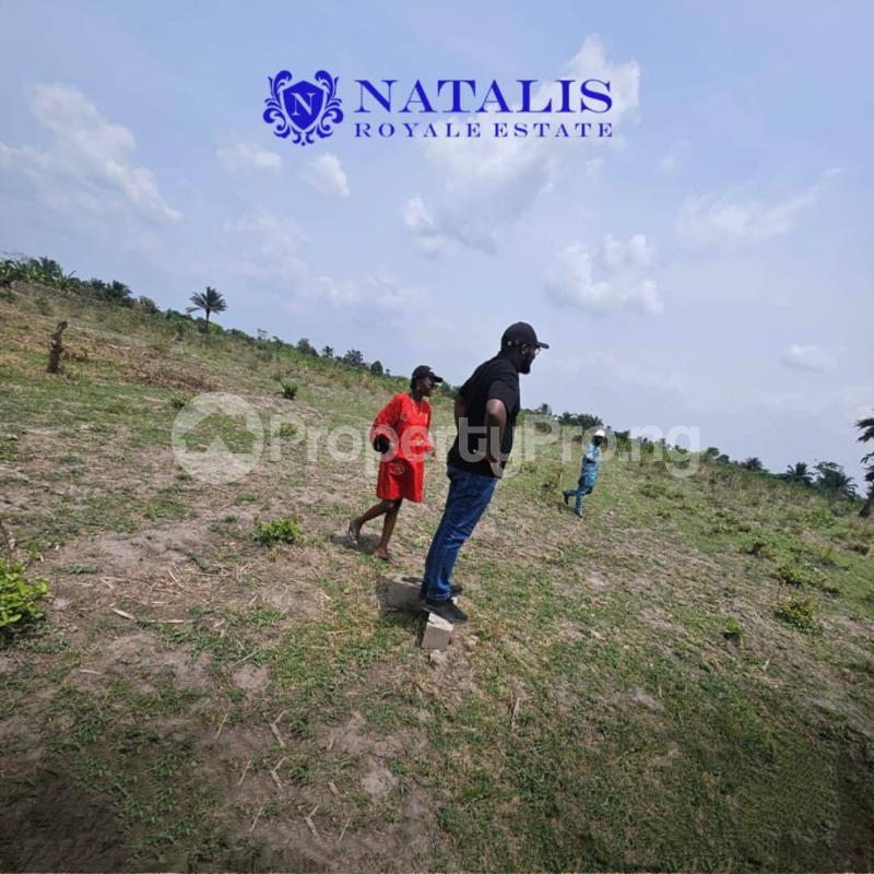 Land for sale Natalis Royale Estate Located At Mowe Ofada Obafemi Owode Ogun