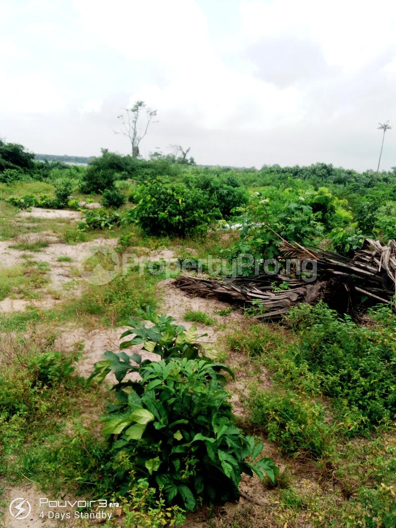 Land for sale Orogbe Lekki Town Lftz Ibeju Lekki Free Trade Zone Ibeju-Lekki Lagos