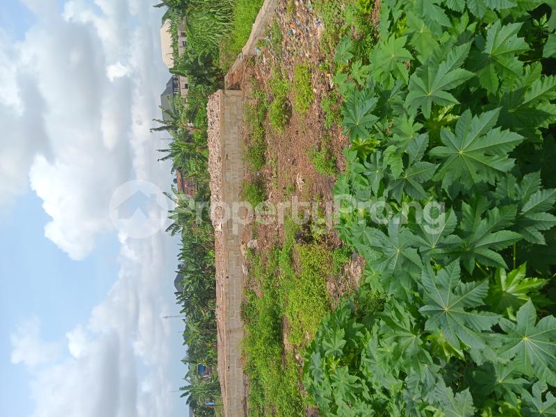 Land for sale Iyana School Iba Ojo Lagos