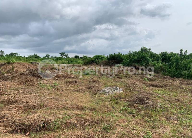Land for sale Cocoa Farm Estate Located At Olabisi Onabanjo University Road Ago Iwoye Ake Ijebu Ode Ijebu Ode Ogun
