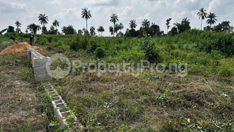 Land for sale Elegant City Located At Ibefun Village Off Ijebu Ode Road Ikorodu Lagos