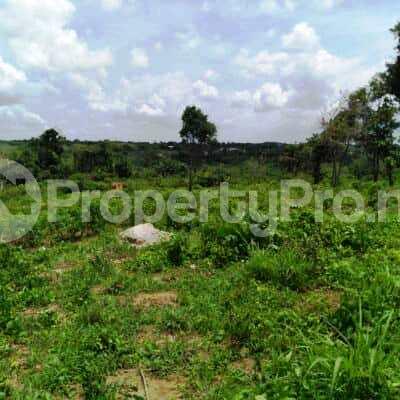 Land for sale Birchbury LaCampaigne Tropicana Ibeju-Lekki Lagos