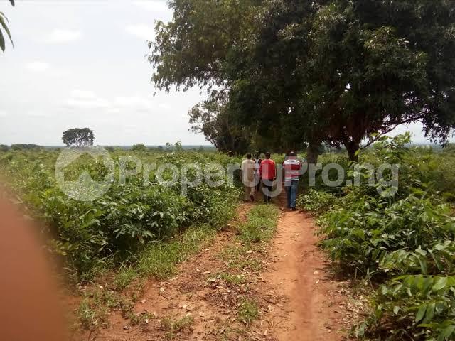 Land for sale Opposite Temboga Junction Uteh Community Ukpoba Edo