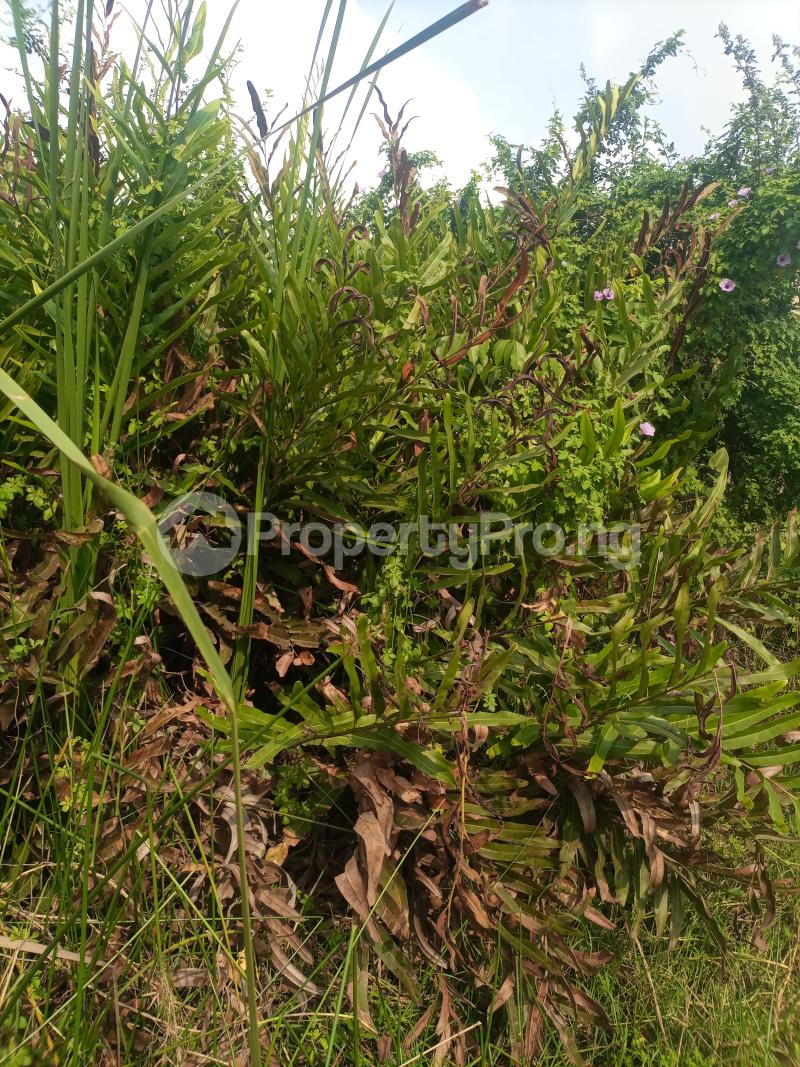 Land for sale Kosofe/Ikosi Lagos