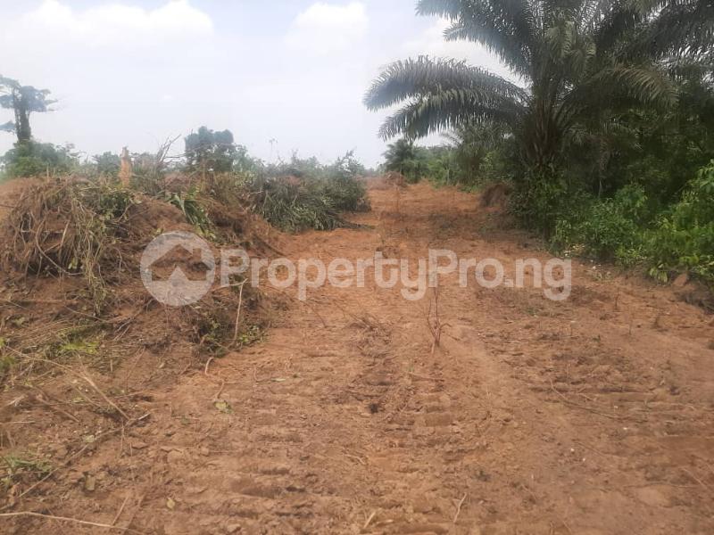 Land for sale Oguduja Village, Igbonla Eredo Epe Epe Road Epe Lagos