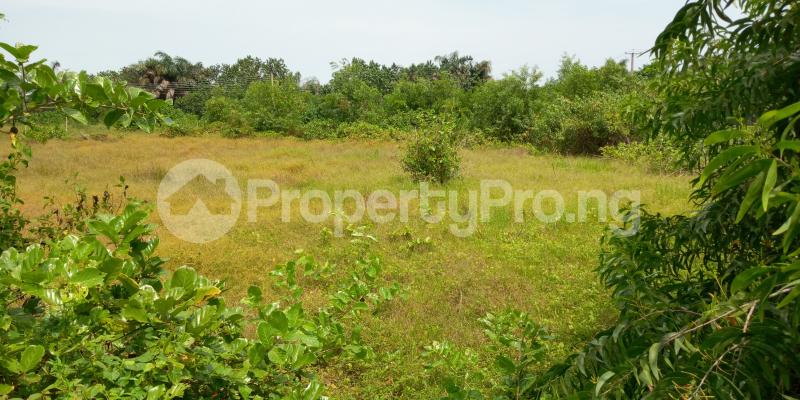 Land for sale Ibeju-Lekki Lagos