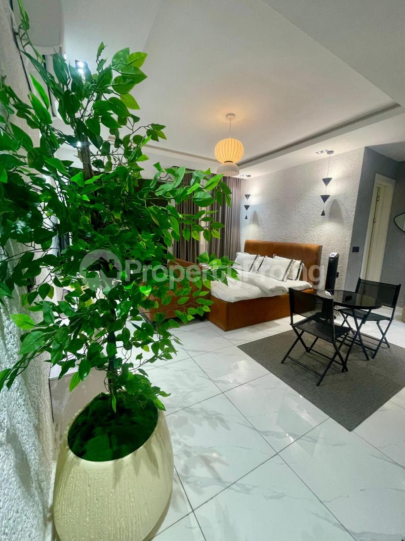 1 bedroom Flat / Apartment for shortlet Lekki Phase 1 Ikate Lekki Lagos - 3