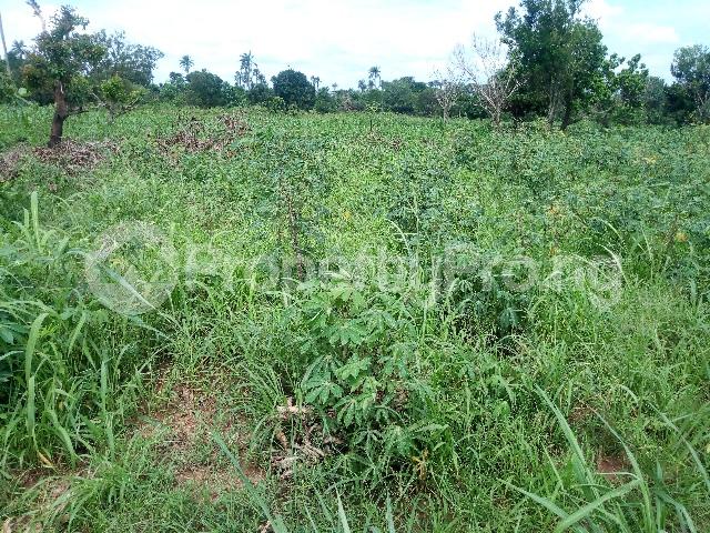 Land for sale Sede Street, Ibie Auchi Road, Jattu Etsako East Edo