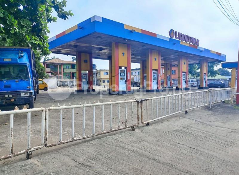 Commercial Property for sale Lagos Abeokuta Expressway, Dopemu Agege Lagos