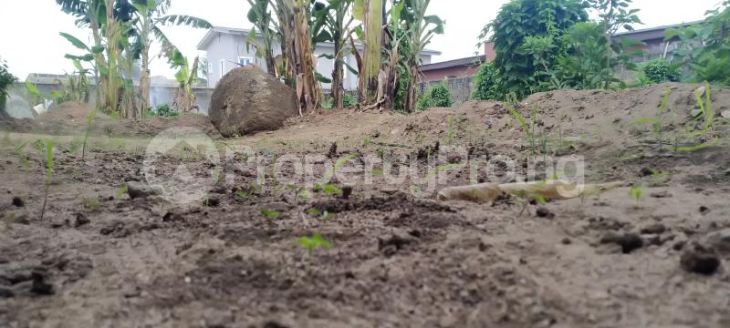 Land for sale Camp Davies Road, Ishefun, Ayobo. Ayobo Ipaja Lagos
